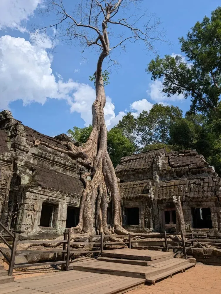 Checkin Angkor Wat, Сиемреап, Камбоджа 3