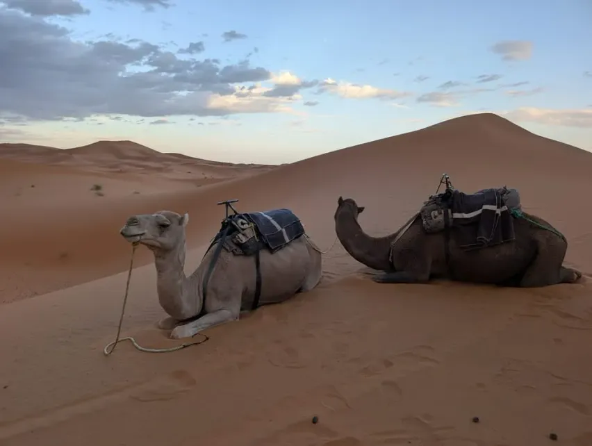 Checkin Merzouga, Марокко 3