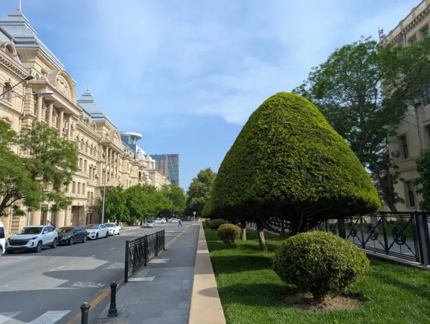 Checkin Baku, Азербайджан 2