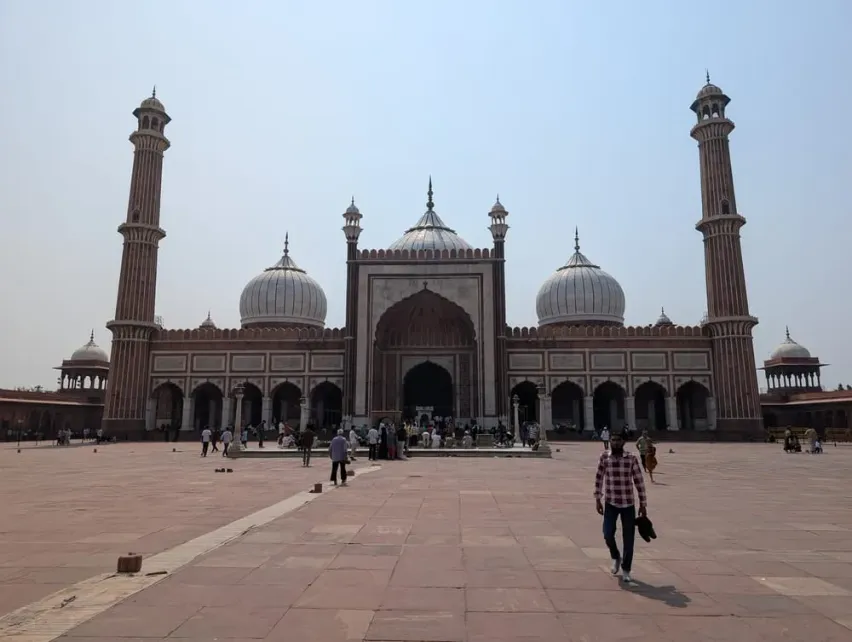 Checkin Delhi, Индия 2