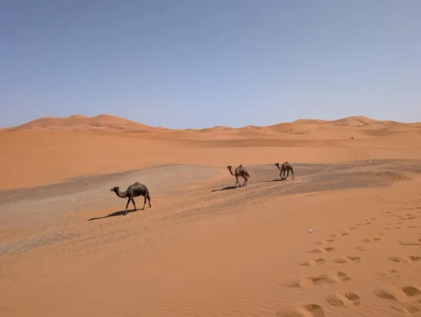 Checkin Merzouga, Марокко 1