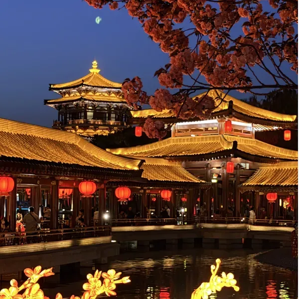 Author image Guide to Xi'an and How to Visit the Terracotta Army