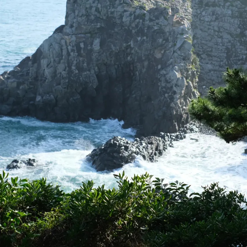Author image Jeju Island Travel Guide, South Korea
