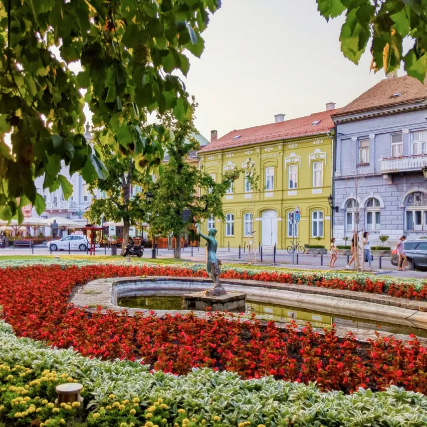 Author image Novi Sad Travel Guide